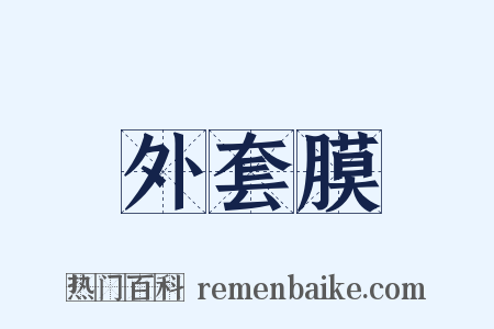 外套膜是什么意思的图片